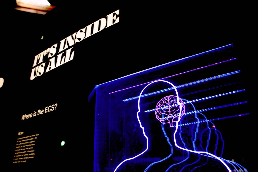 Disturbi neurologici funzionali
